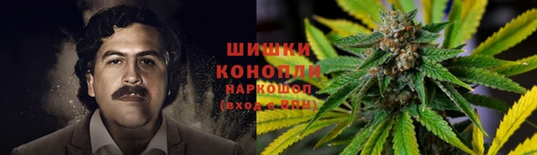 ГАЛЛЮЦИНОГЕННЫЕ ГРИБЫ Мегион