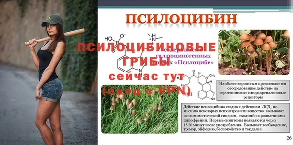 экстази Медвежьегорск