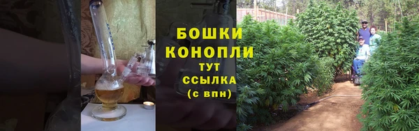 ГАЛЛЮЦИНОГЕННЫЕ ГРИБЫ Мегион