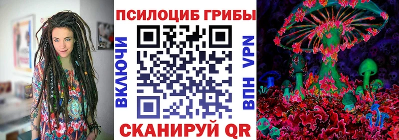 нарко площадка наркотические препараты  Мамадыш  Псилоцибиновые грибы Magic Shrooms  магазин продажи  